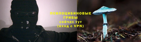 МДМА Лабытнанги