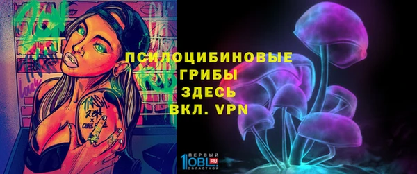 стафф Куйбышев