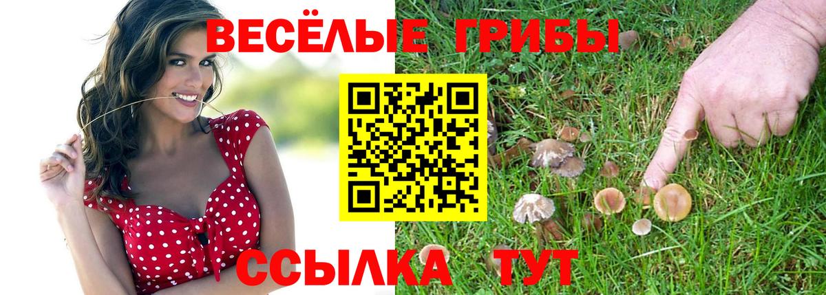 Псилоцибиновые грибы Psilocybine cubensis  Вход с VPN  Лангепас 