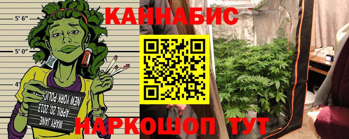 Конопля сатива Лангепас